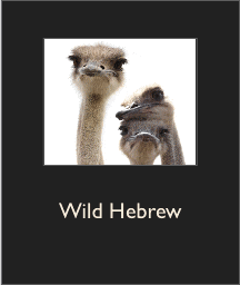 Wild Hebrew 