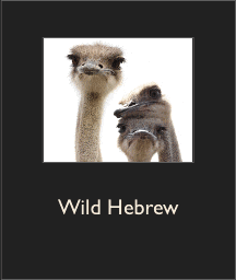 Wild Hebrew 